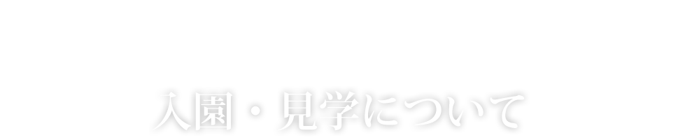 入園・見学について