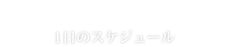 1日のスケジュール